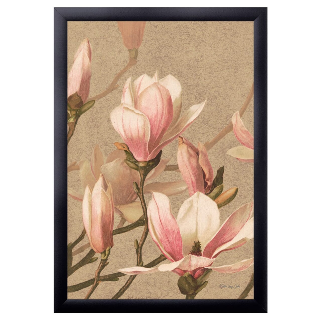 12" x 18" Antique Botanical Collection 4 Framed Wall Art, Contemporary Floral Home Décor, Plexiglass Facing and Hanging Hardware